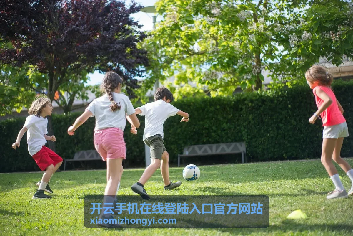 开云手机在线登陆入口官方网站账号安全验证示意